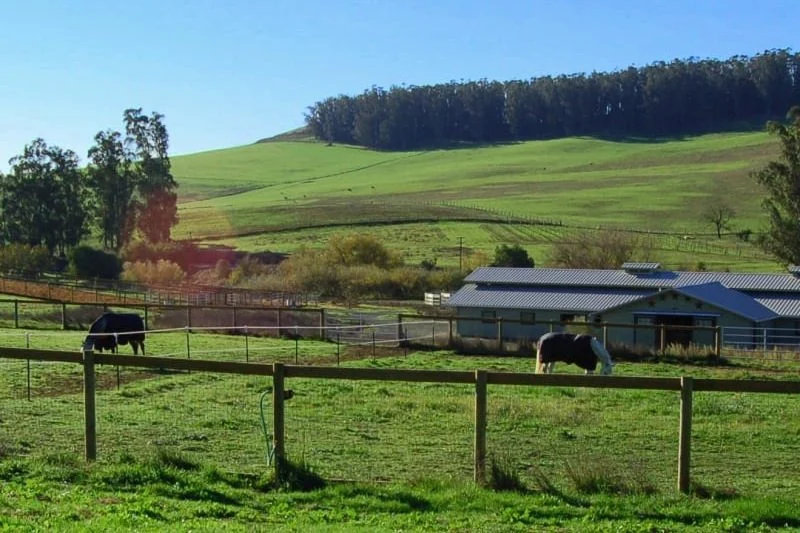 Grass paddocks and turnouts at Jaz Creek