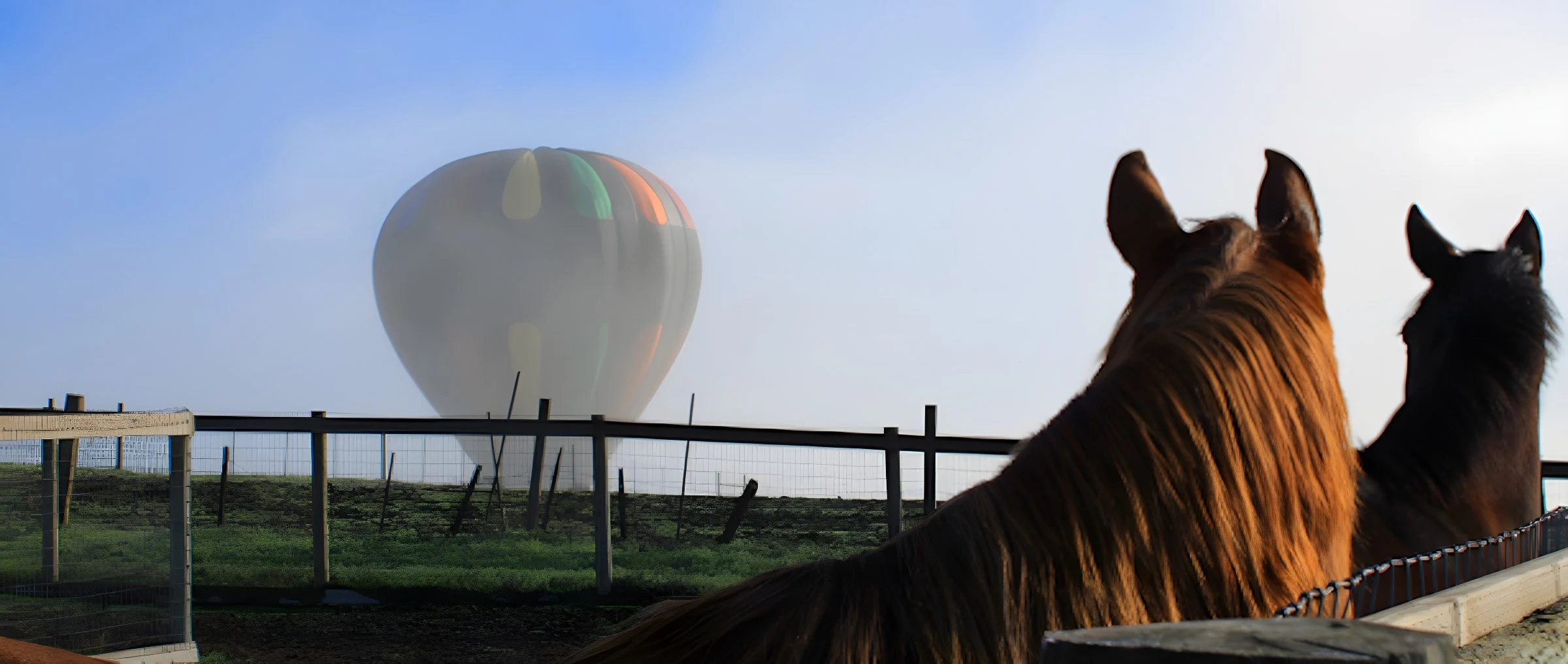 Horses in the paddock at sunrise with a hot-air balloon