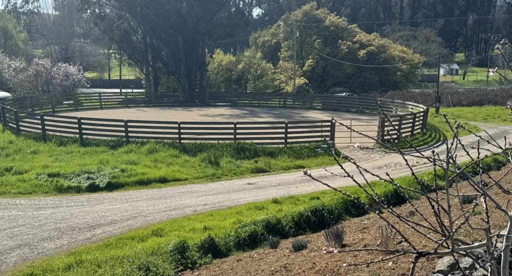 90′ round pen