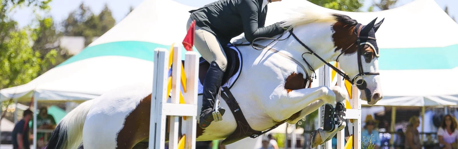 Hunter/jumper horse clearing a fence